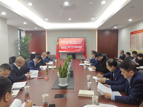 安徽威客电竞地产集团公司开展新一轮深化“三个以案”警示教育集中学习