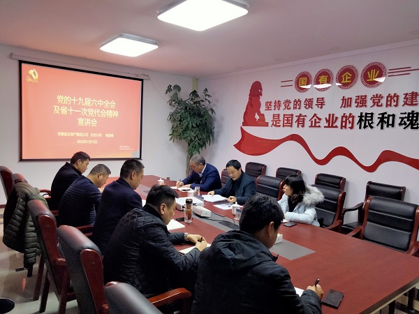 徽盐地产公司总会计师杨蔚峰到泗县项目公司宣讲十九届六中全会及省十一次党代会精神
