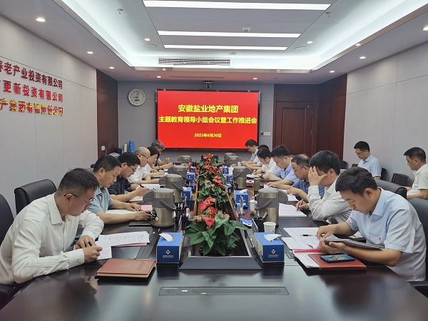 安徽威客电竞地产集团召开学习贯彻习近平新时代中国特色社会主义头脑主题教育向导小组聚会暨事情推进会