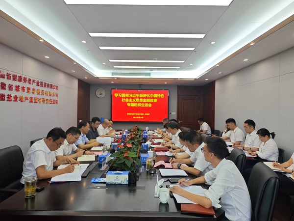 安徽威客电竞地产集团本部第一党支部召开主题教育专题组织生涯会