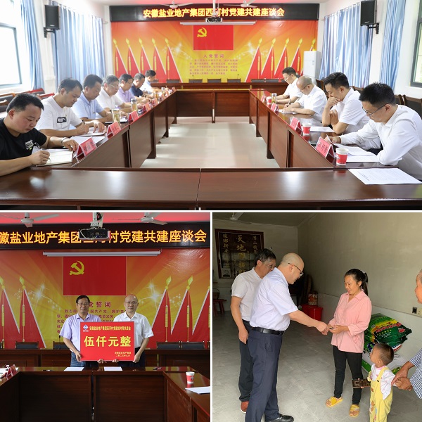 安徽威客电竞地产集团党委赴西河村开展结对共建帮扶慰问活动